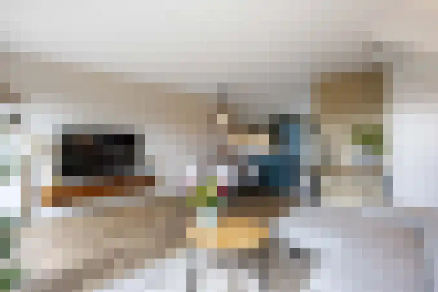 Hoogeweg 58 Groningen thumbnail 13
