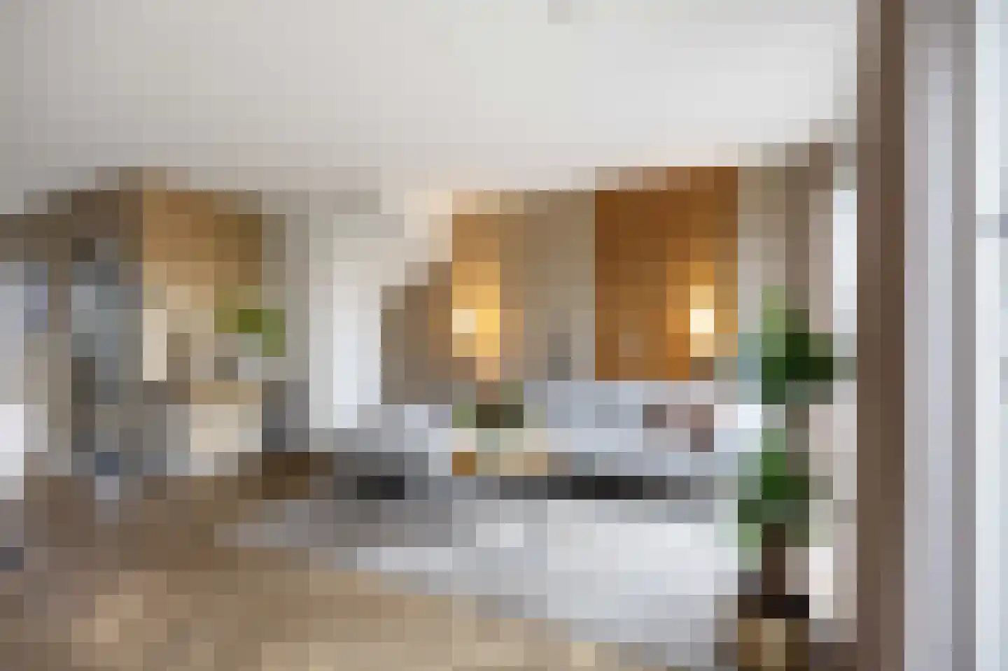 Hoogeweg 58 Groningen thumbnail 15