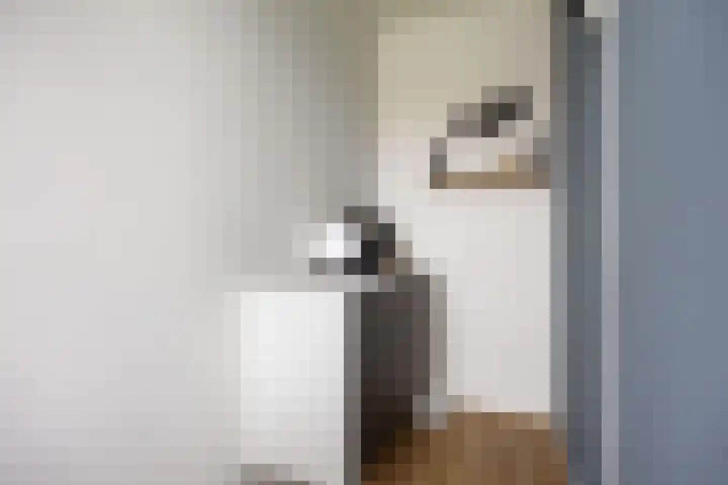 Hoogeweg 58 Groningen thumbnail 24