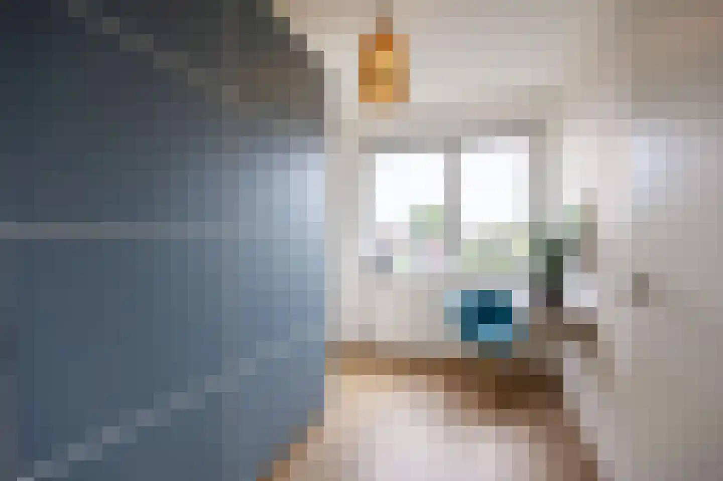 Hoogeweg 58 Groningen thumbnail 27