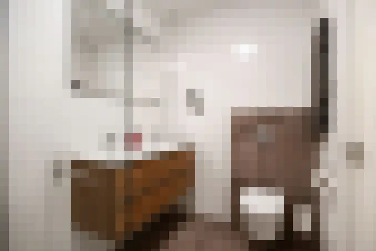 Hoogeweg 58 Groningen thumbnail 29