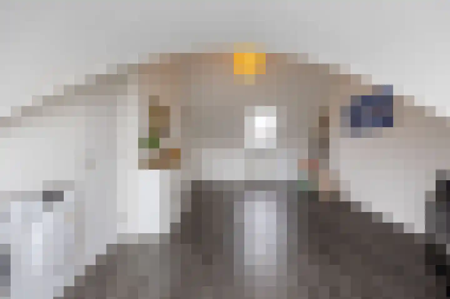 Hoogeweg 58 Groningen thumbnail 32