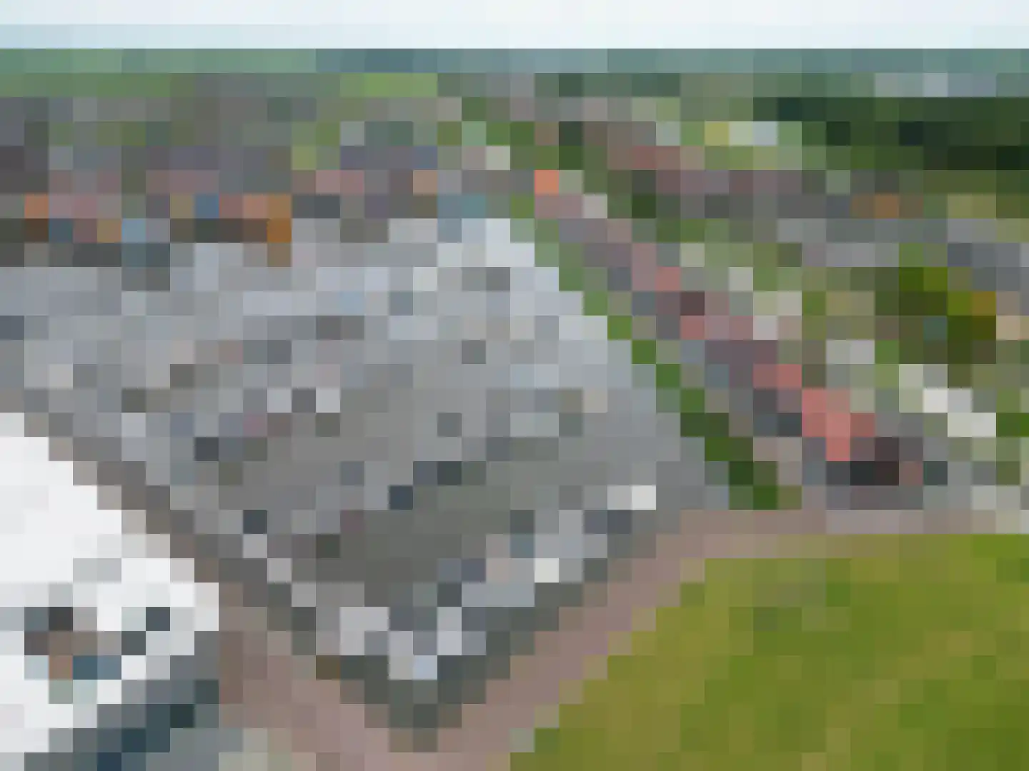 Hoogeweg 58 Groningen thumbnail 44