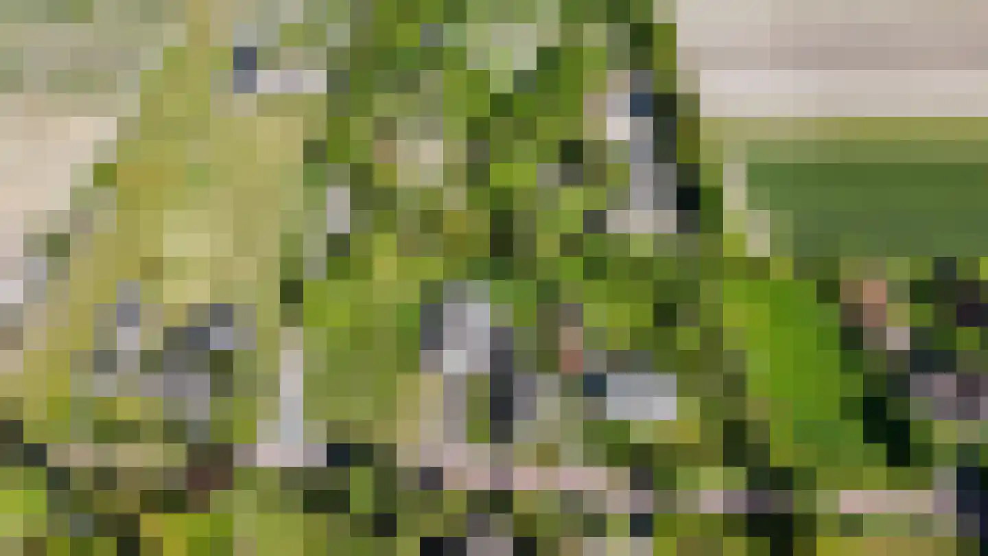 Hoogeweg 60 a Heiloo thumbnail 20