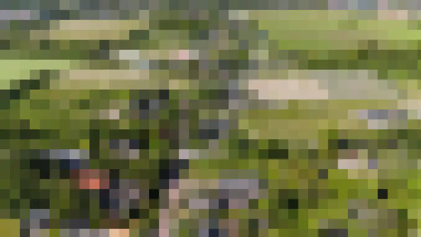 Hoogeweg 60 a Heiloo thumbnail 21