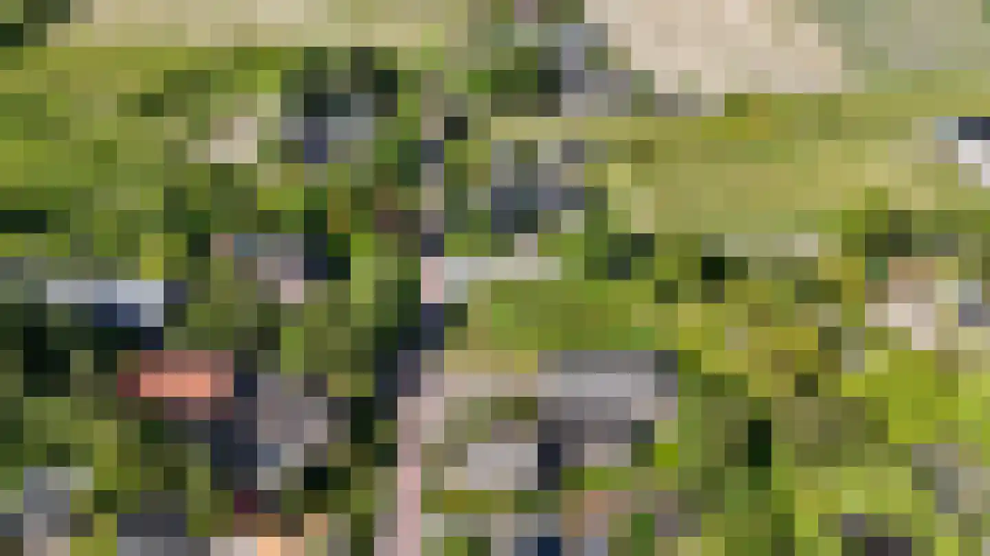 Hoogeweg 60 a Heiloo thumbnail 22