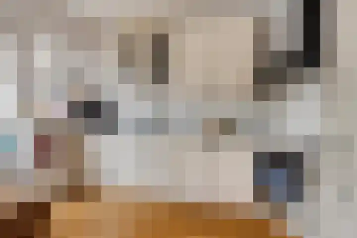 Hoogewei 10 Goes thumbnail 4