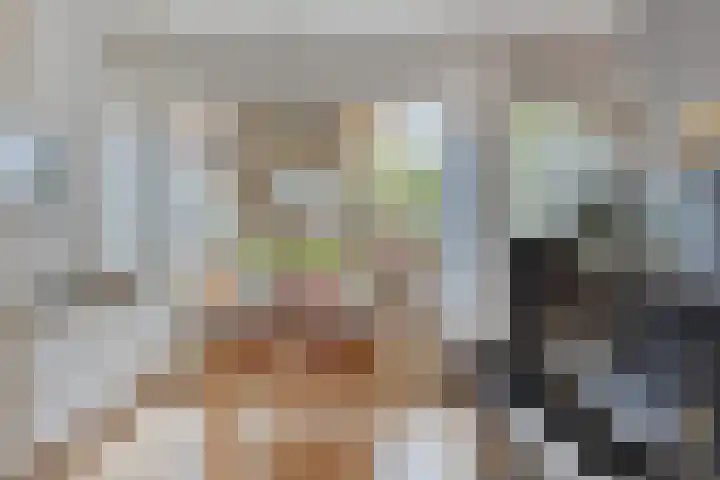 Hoogewei 48 Goes thumbnail 21