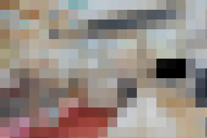 Hoogewei 48 Goes thumbnail 35