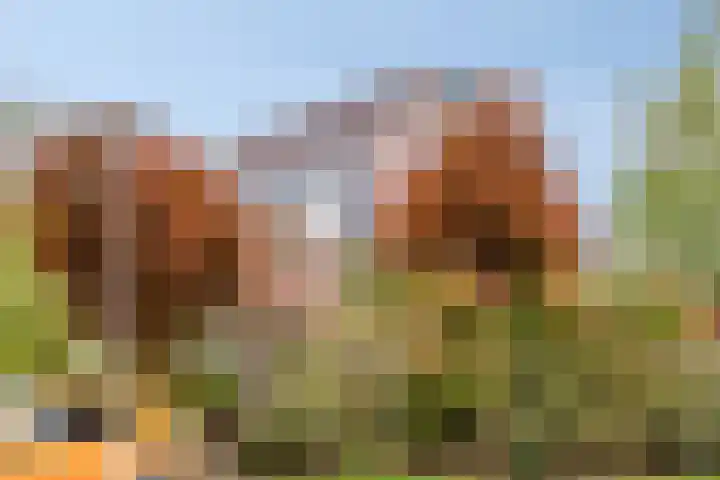 Hoogewei 48 Goes thumbnail 4