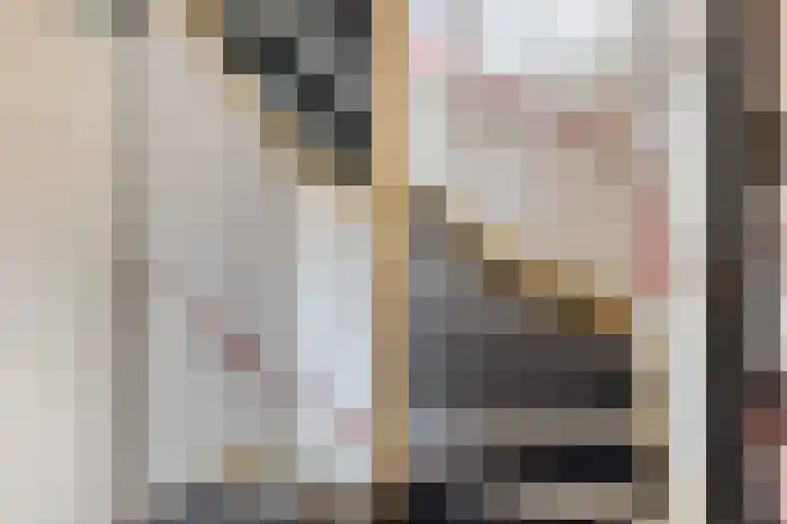 Hoogewei 48 Goes thumbnail 40