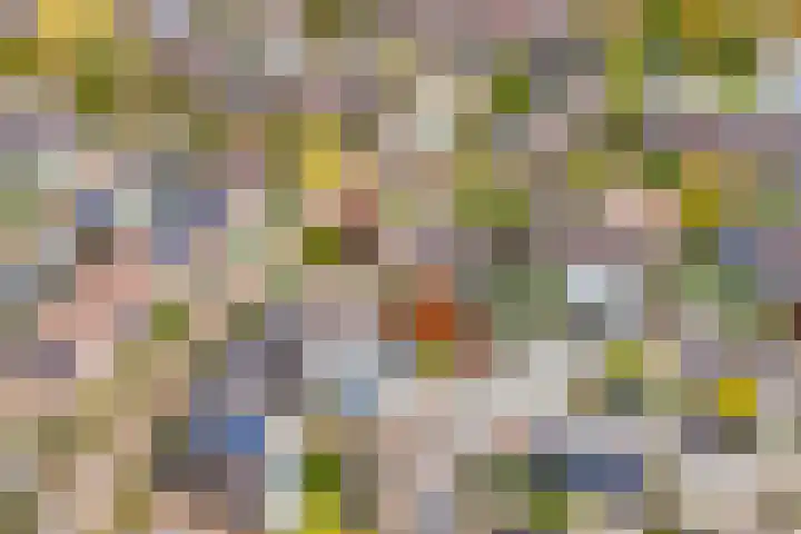 Hoogewei 48 Goes thumbnail 48