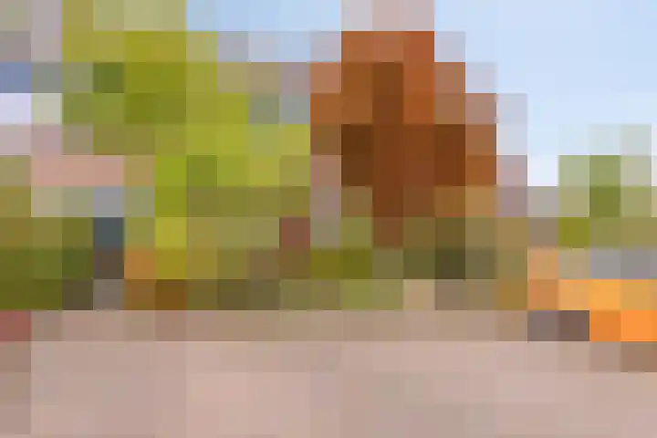 Hoogewei 48 Goes thumbnail 5