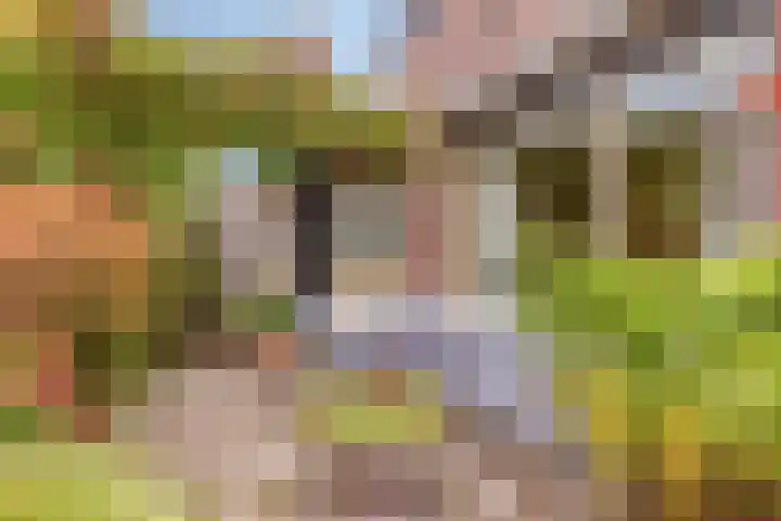 Hoogewei 48 Goes thumbnail 50