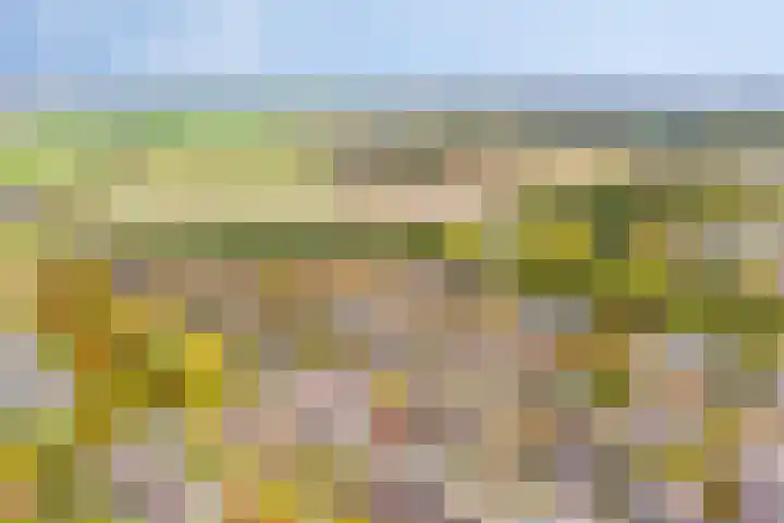 Hoogewei 48 Goes thumbnail 51