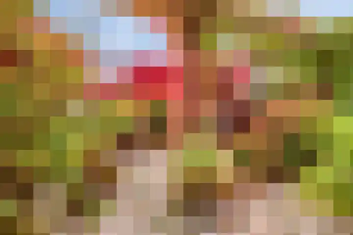 Hoogewei 48 Goes thumbnail 53