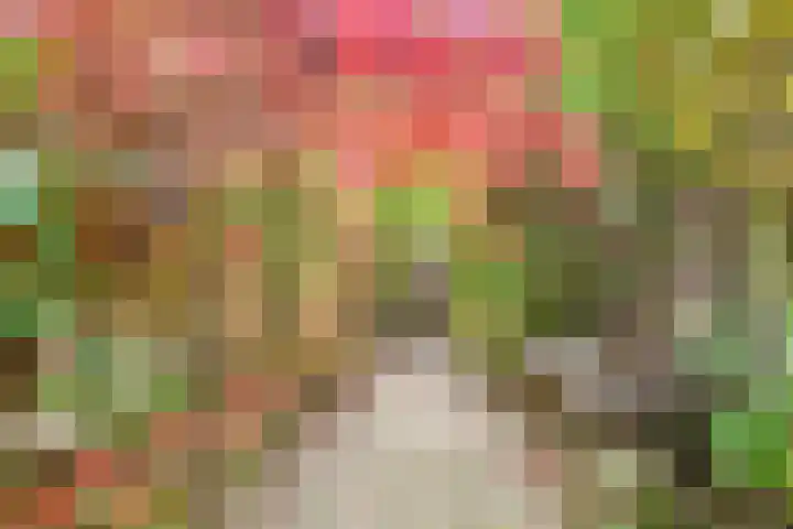 Hoogewei 48 Goes thumbnail 55