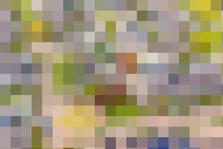Hoogewei 48 Goes thumbnail 6