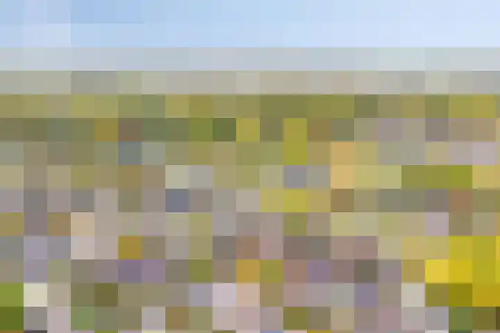 Hoogewei 48 Goes thumbnail 8