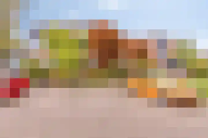 Hoogewei 48 Goes thumbnail 9