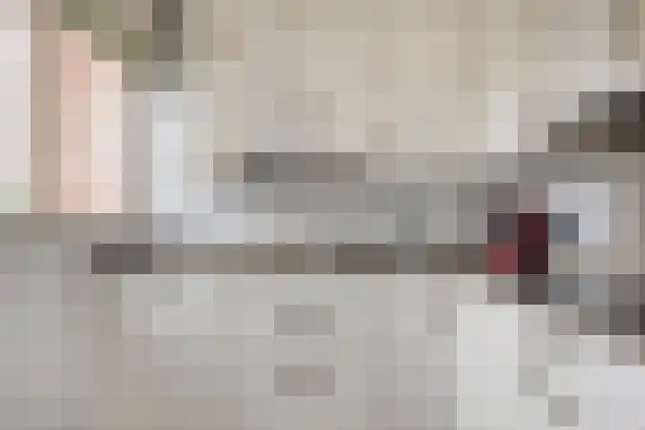 Hoogewei 54 Goes thumbnail 12