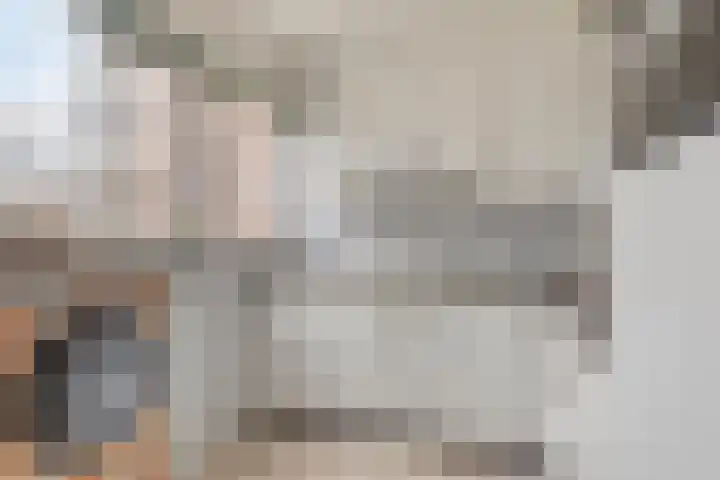 Hoogewei 54 Goes thumbnail 13