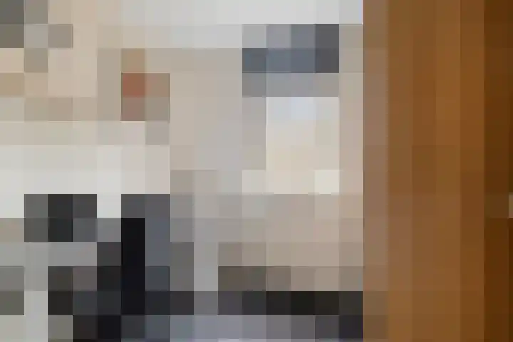 Hoogewei 54 Goes thumbnail 21