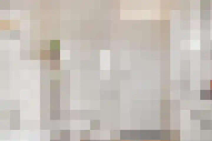 Hoogewei 54 Goes thumbnail 27