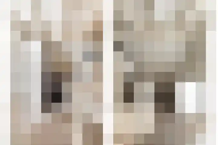 Hoogewei 54 Goes thumbnail 29