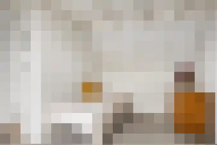 Hoogewei 54 Goes thumbnail 31