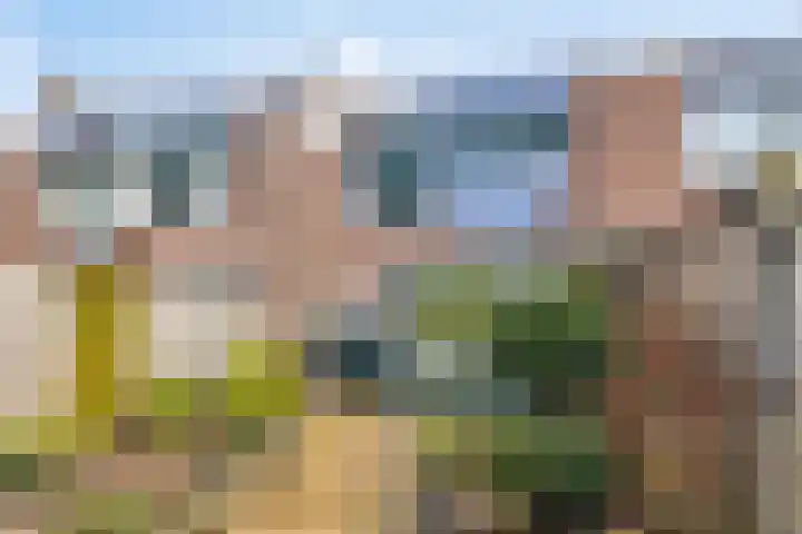 Hoogewei 54 Goes thumbnail 32