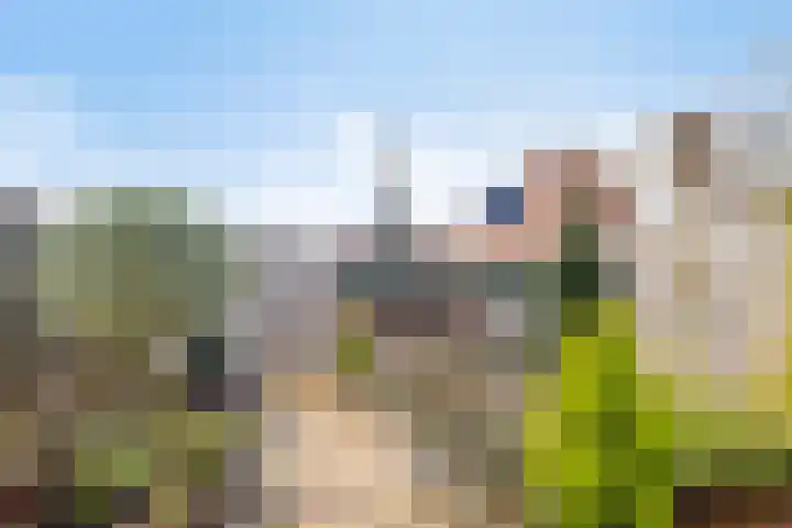 Hoogewei 54 Goes thumbnail 33