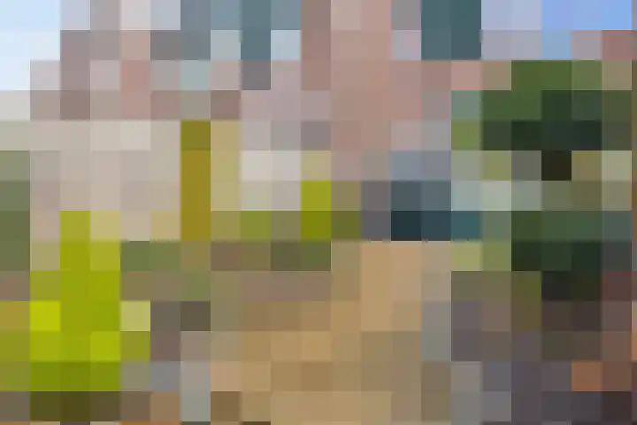 Hoogewei 54 Goes thumbnail 34