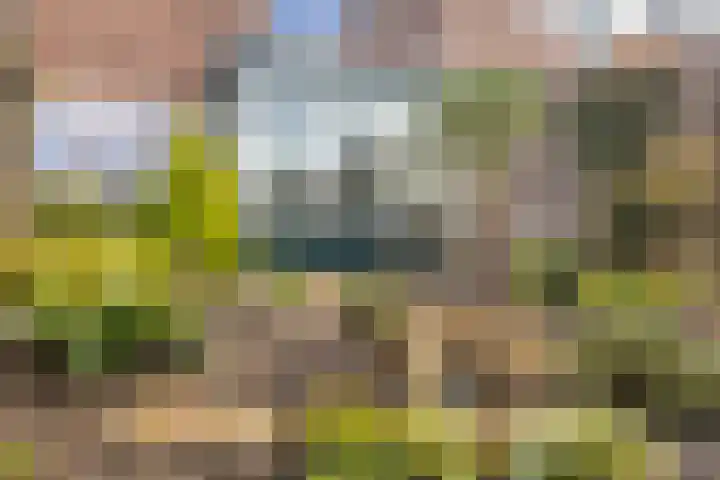 Hoogewei 54 Goes thumbnail 35
