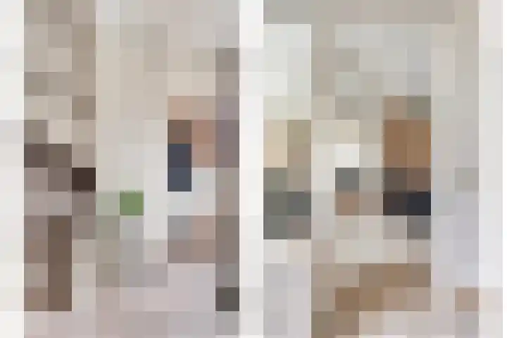 Hoogewei 54 Goes thumbnail 4
