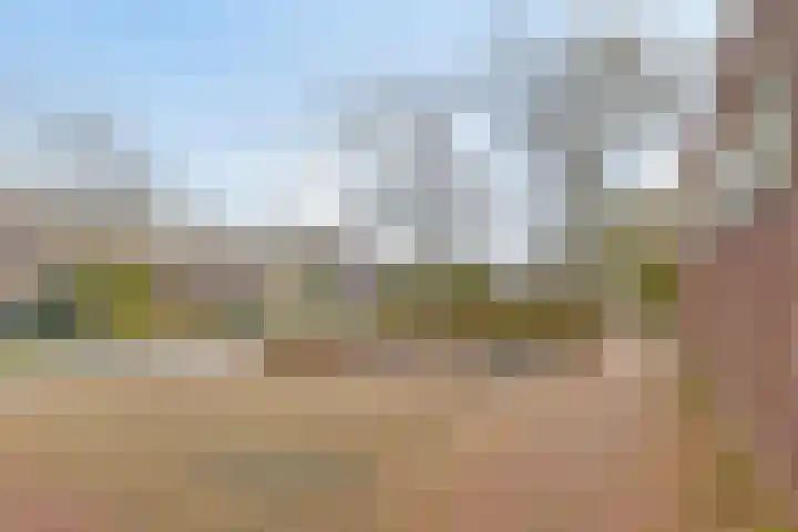 Hoogewei 54 Goes thumbnail 42