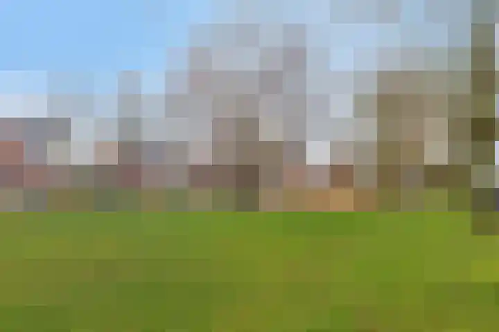 Hoogewei 54 Goes thumbnail 43