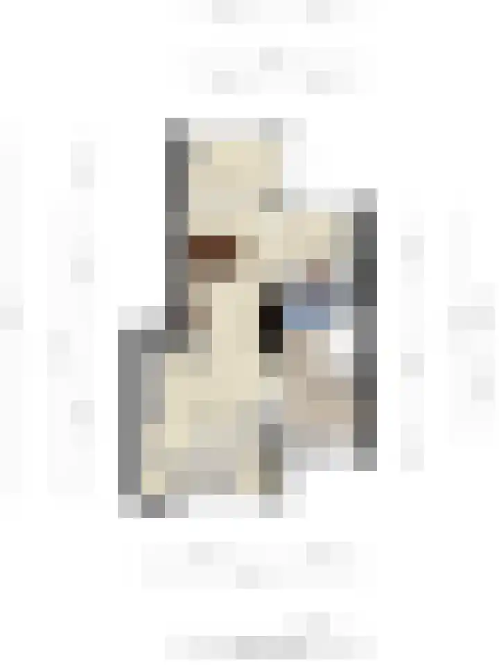 Hoogewei 54 Goes thumbnail 44