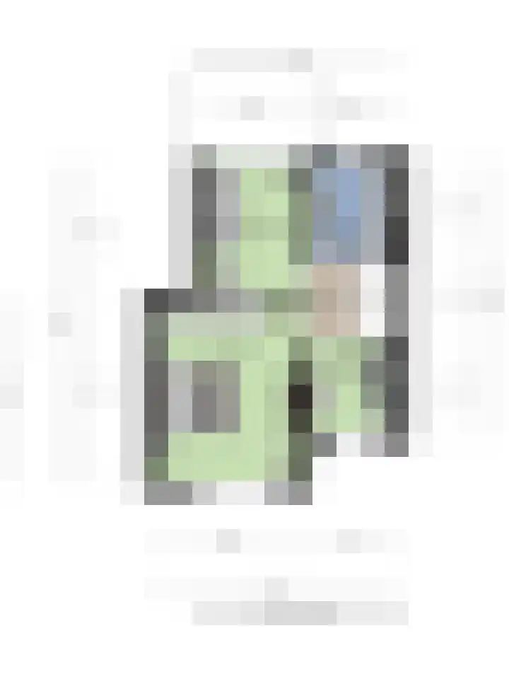 Hoogewei 54 Goes thumbnail 46