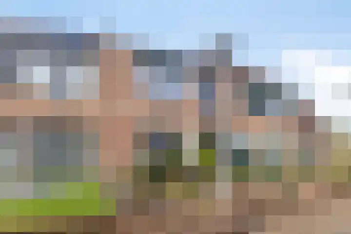 Hoogewei 54 Goes thumbnail 5