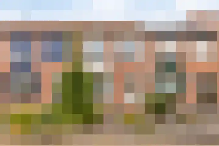 Hoogewei 64 Goes