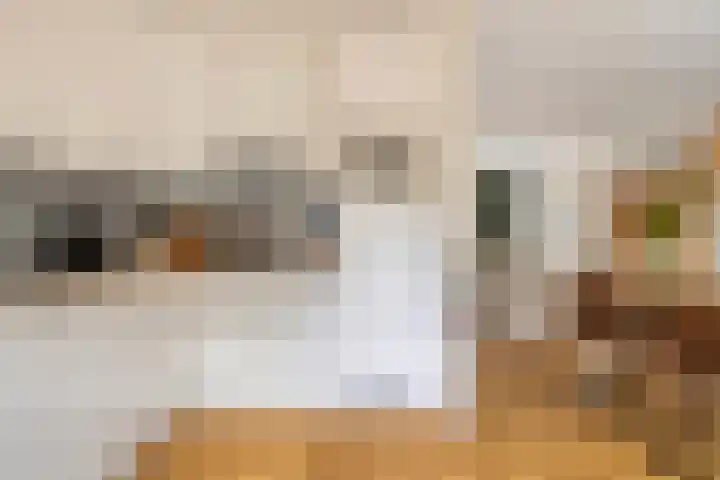 Hoogewei 64 Goes thumbnail 15