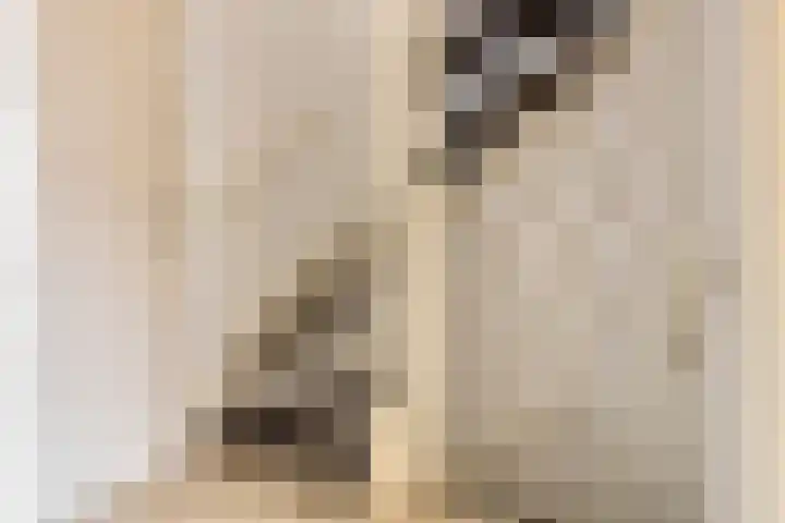 Hoogewei 64 Goes thumbnail 17