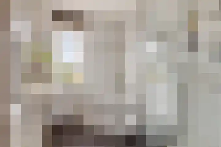 Hoogewei 64 Goes thumbnail 25