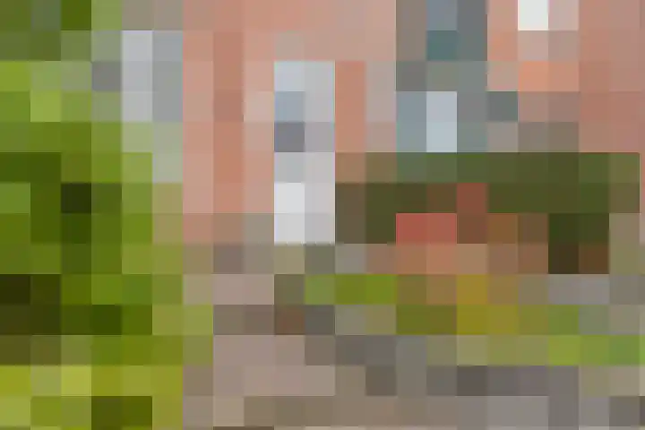 Hoogewei 64 Goes foto 3