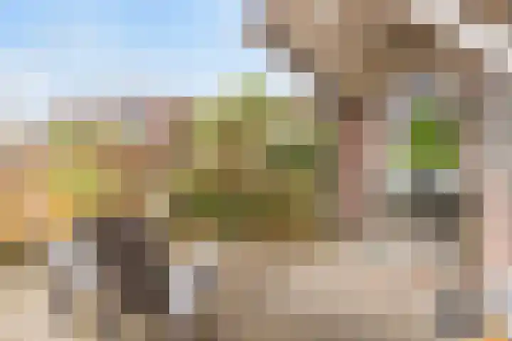 Hoogewei 64 Goes thumbnail 33