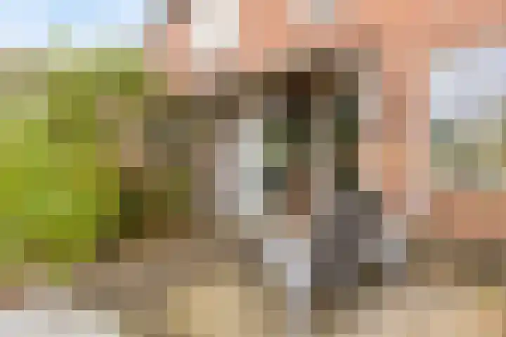 Hoogewei 64 Goes thumbnail 34