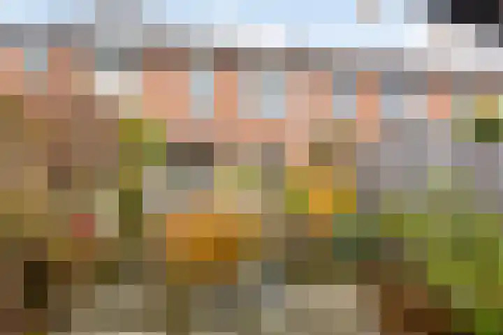 Hoogewei 64 Goes thumbnail 39