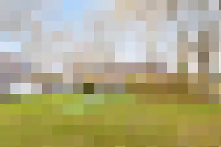 Hoogewei 64 Goes thumbnail 42