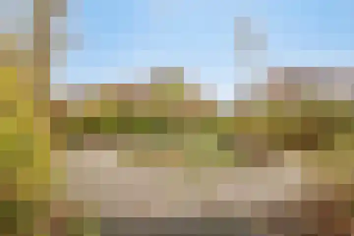 Hoogewei 64 Goes thumbnail 43